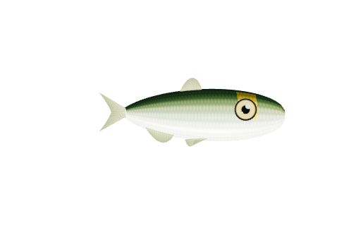 アユ